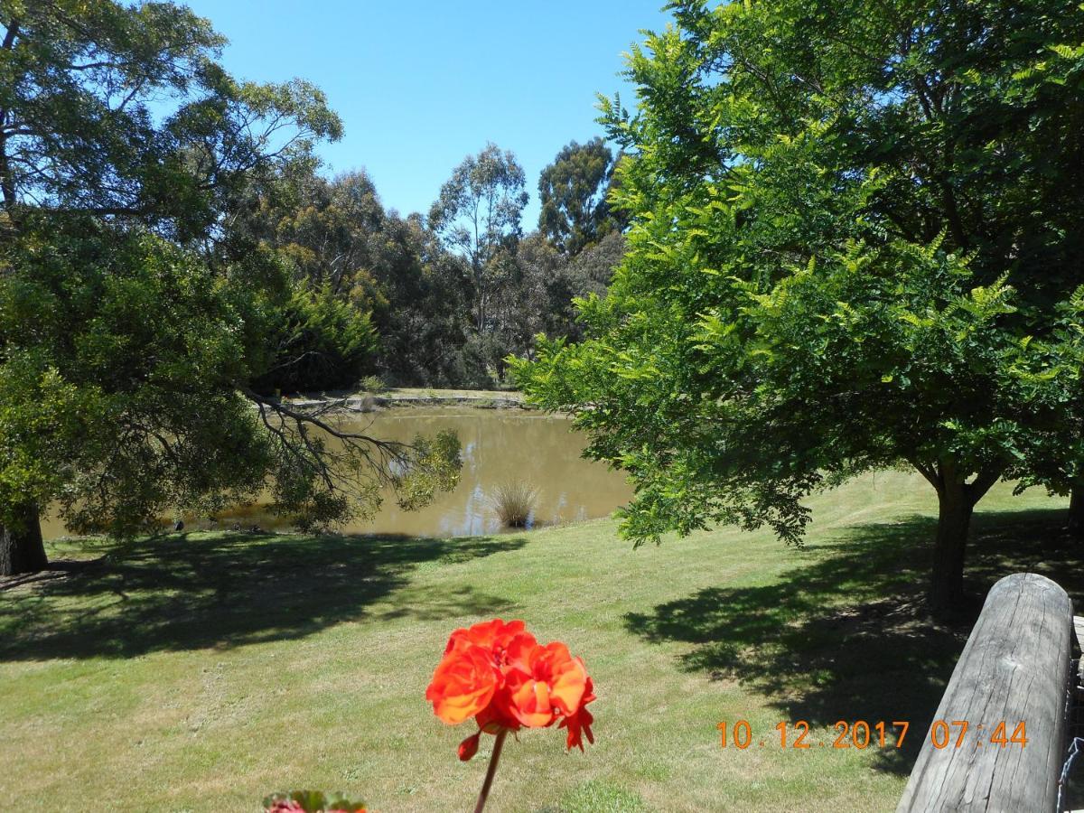 Wurrung B & B - The Cottage Woodend Exteriör bild
