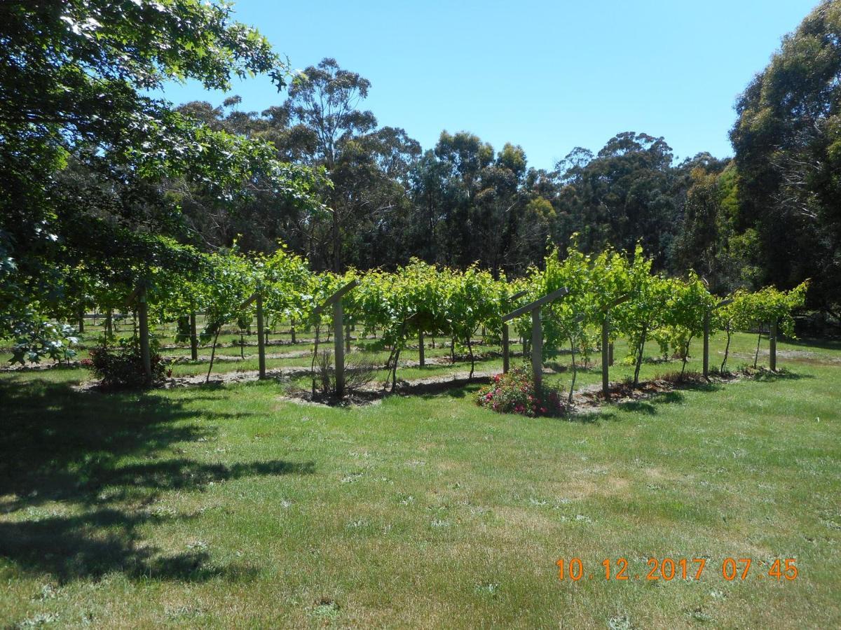 Wurrung B & B - The Cottage Woodend Exteriör bild
