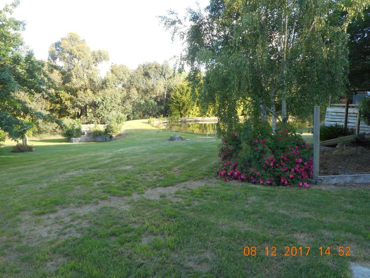 Wurrung B & B - The Cottage Woodend Exteriör bild