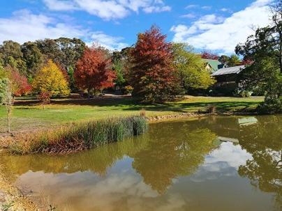 Wurrung B & B - The Cottage Woodend Exteriör bild