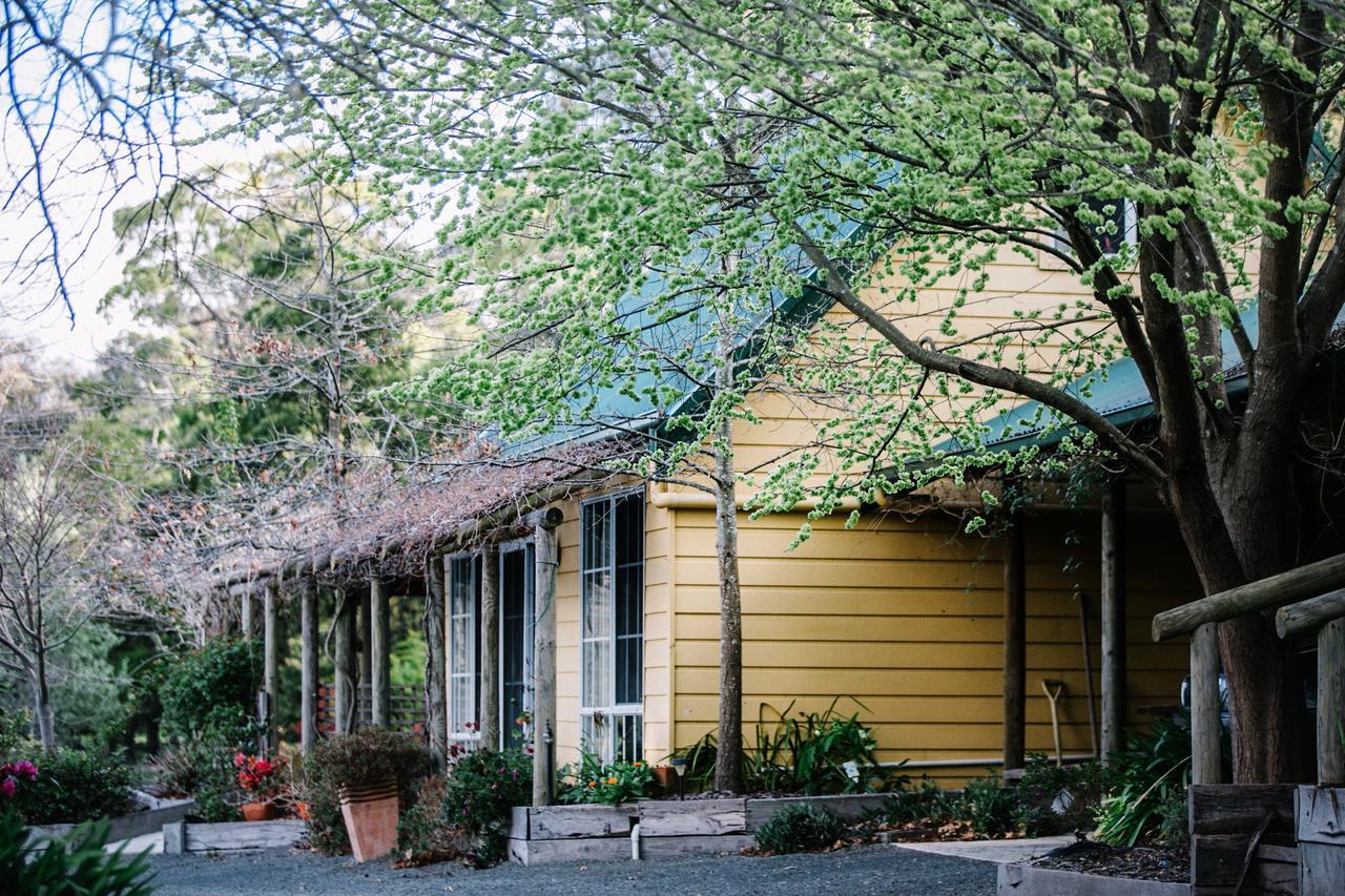 Wurrung B & B - The Cottage Woodend Exteriör bild